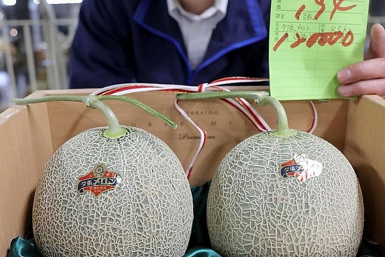 A man showing a pair of melons produced in Yubari city in Hokkaido, which was sold for 120,000 yen (S$1,590) at the season's first auction yesterday. This was 40 times less than last year's record price tag of five million yen, as the coronavirus mea