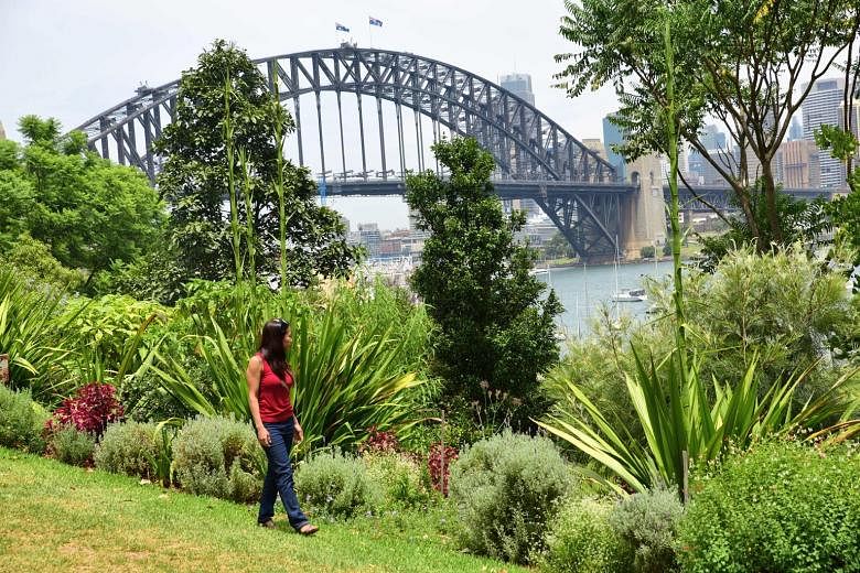 Travel hot spot: Sydney Harbour Bridge in Australia