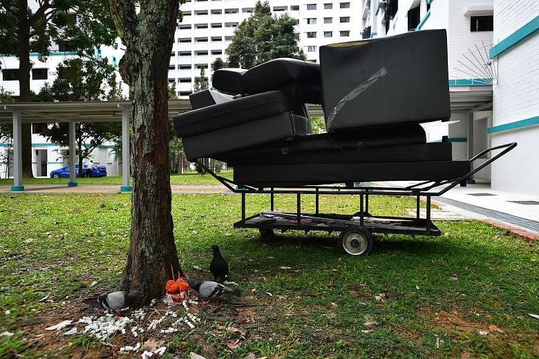 Engineer Mark Rober built an eight-part obstacle course to deter squirrels from stealing bird food in his yard. A photo taken in January of pigeons feeding on offerings left under a tree in Hougang, with a discarded sofa nearby. Being holed up at hom