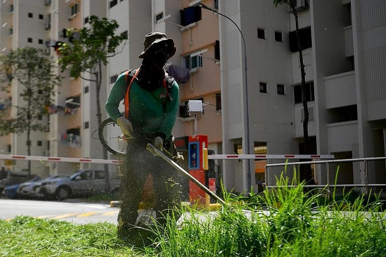 A worker cutting grass in Tampines Street 82 yesterday afternoon. Students returned to school and more people went back to work on the first day after the end of the circuit breaker. ST PHOTO: LIM YAOHUI Ms Alice Ng, 23, grooming a dog at June's Pet 