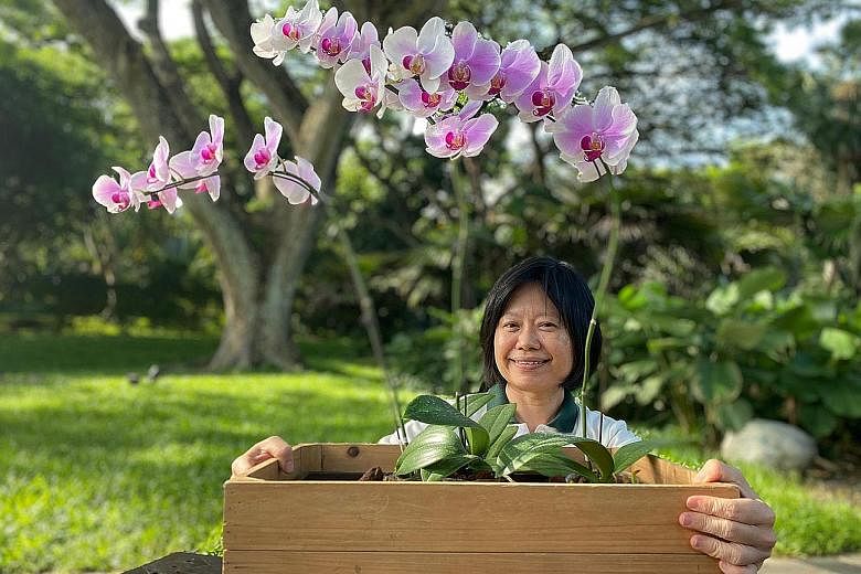 HortPark senior officer Pearl Ho is part of the programming team in charge of events and outreach programmes. She also conducts botanical workshops and demonstrations for members of the public during gardening events.