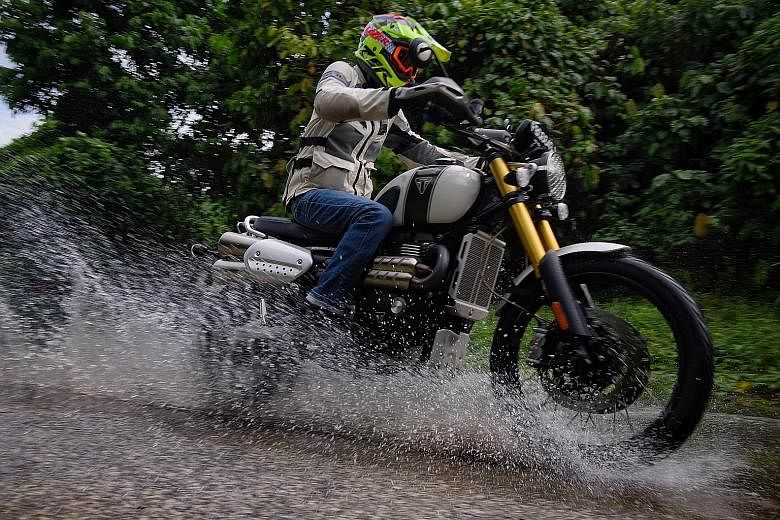 The Triumph Scrambler 1200 XE can do some light off-road sessions and its appeal lies in its classic lines and modern technology.