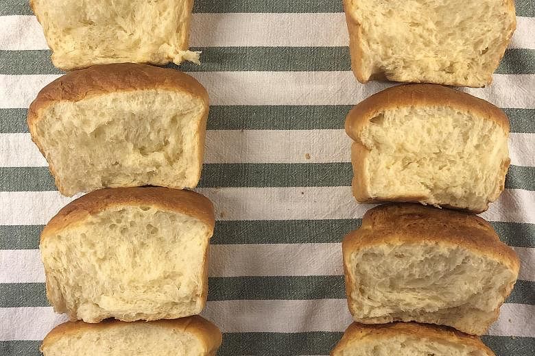 A loaf of milk bread (left) made with Hokkaido bread flour and milk and a Japanese egg is more fluffy and lofty than the loaf (right) made with Bake King bread flour, Meiji milk from Thailand and a local egg. 