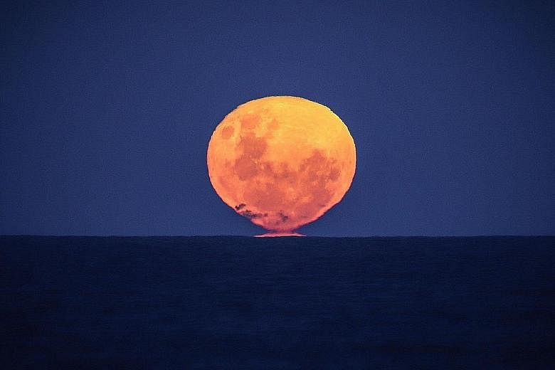 The Strawberry Moon, the full moon of June, rising over the ocean on Narrawallee Beach, near Mollymook on the south coast of Australia's New South Wales yesterday. In Europe, Australia, Asia and Africa, a penumbral lunar eclipse can be observed as th