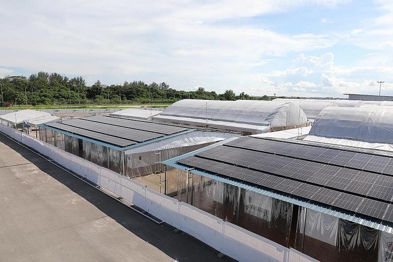 Patients stay in tents with partitioned rooms (top), each with eight to 10 beds, fans, power sockets, storage cabinets and Wi-Fi access. Apart from mobile diesel generators that power the new facility, solar panels (above) will provide 20 per cent of