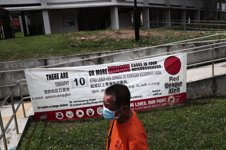 More than 890 new dengue cases in Singapore in a week, surpassing
