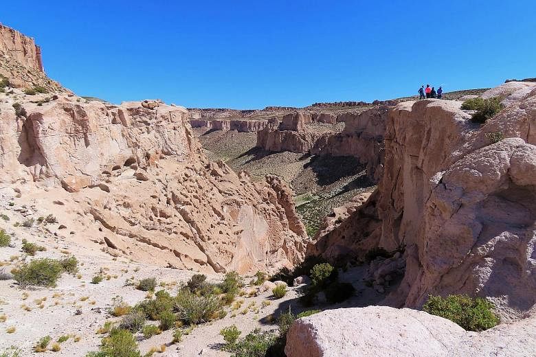 Bolivia's must-see sights include its salt flats, Laguna Colorada and Anaconda Canyon (above).