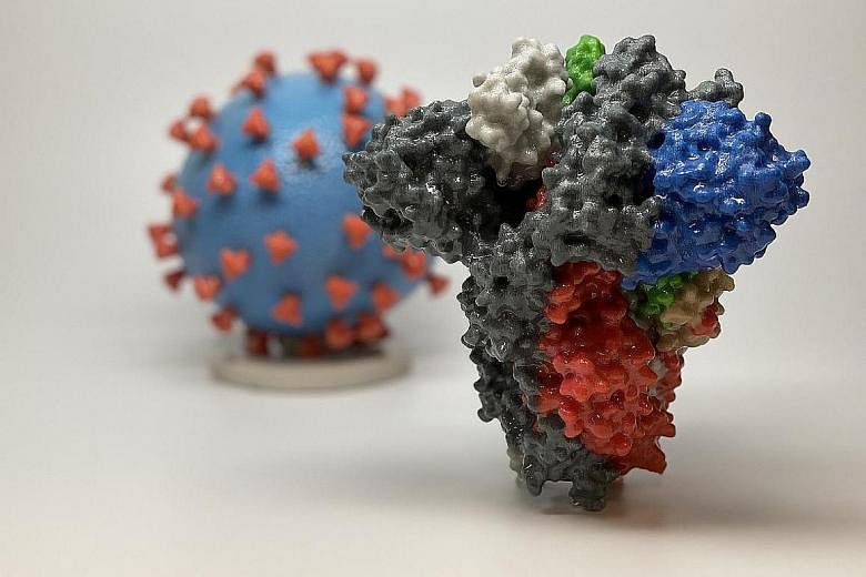 This 3D image shows the spike proteins protruding from the coronavirus' surface. Scientists at Scripps Research, Florida, found that the mutation, known as D614G, stabilised these spike proteins.