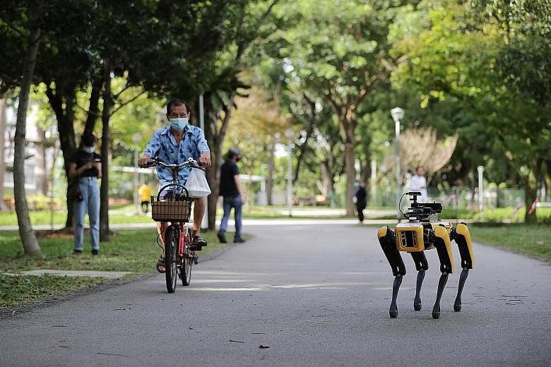 Spot the robot patrolled Bishan-Ang Mo Kio Park for two weeks last month.