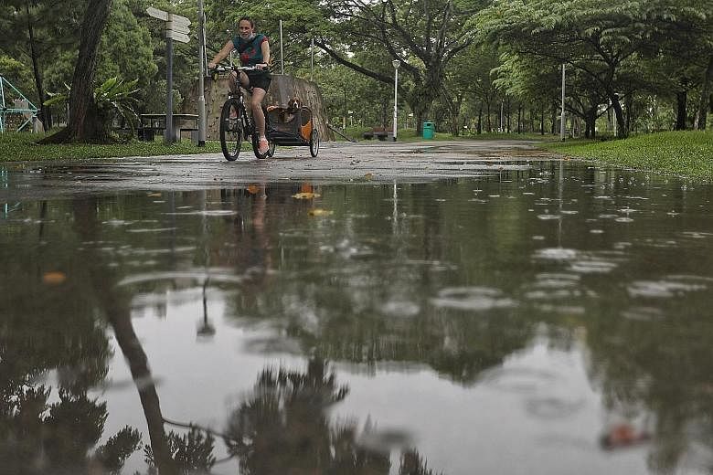 A cyclist at Bishan-Ang Mo Kio Park yesterday, the first weekend after Singapore moved into phase two of its post-circuit breaker period. Park facilities such as carparks, beaches and fishing areas have reopened. ST PHOTO: JOEL CHAN