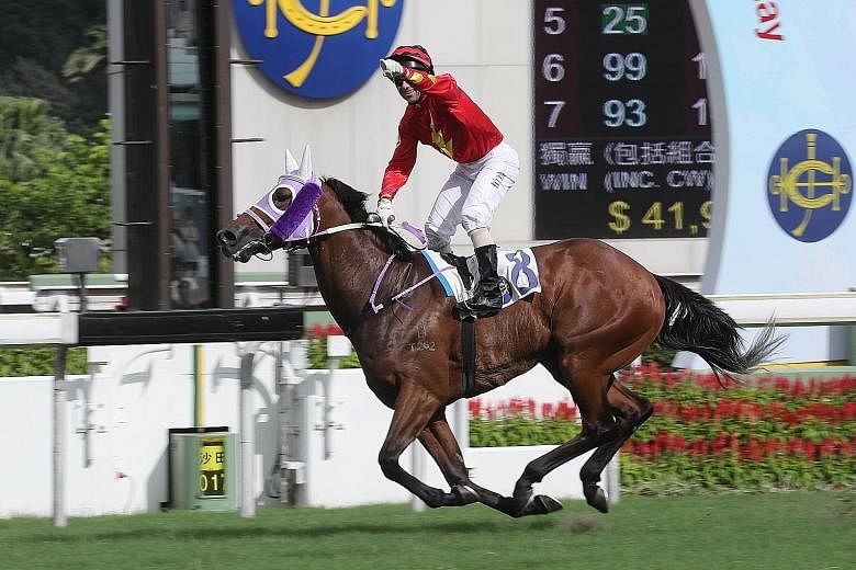 Hang's Decision may be eight years old but he's far from over the hill. He scored his eighth win last time out and can add another in Race 7 at Sha Tin tomorrow.
