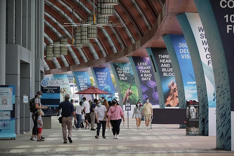 Children outside Universal Studios Singapore yesterday. A steady stream of visitors was seen entering the attraction when The Sunday Times visited. Visitors outside the S.E.A. Aquarium in Sentosa yesterday. A visitor said she was not worried about sa