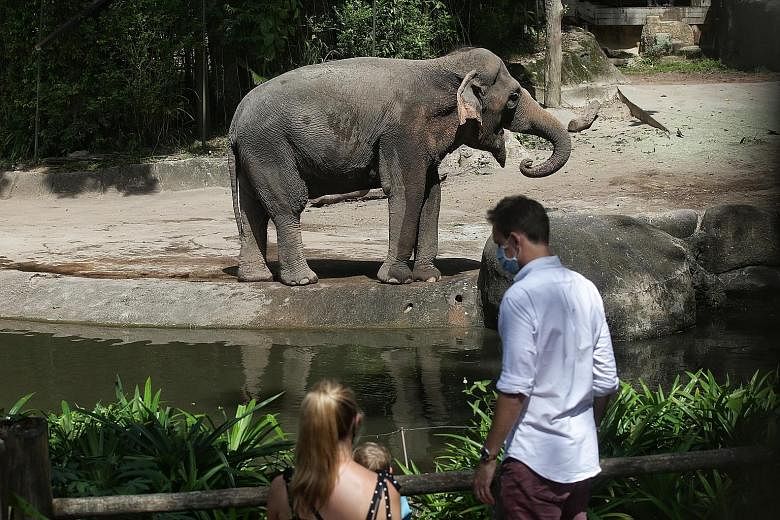 Above: As yesterday was the Youth Day school holiday, many zoo visitors were families with children in tow. Right: Up close with an elephant. "With fewer people in the zoo, we were able to get closer to the exhibits," said one visitor.