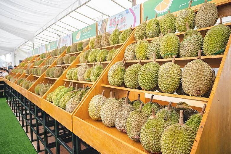 Durian seller Durian Edition provides delivery of the King of Fruits to your doorstep. It is offering a new product this year, nitrogen frozen durians, available in a bundle that includes Grade A Musang King, D24 XO, 100% MSW Durian Mochi and a Premi