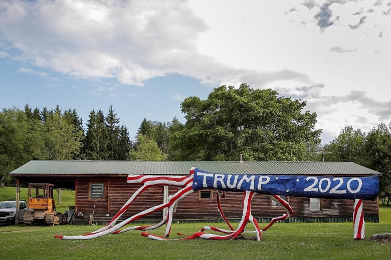 A fallen tree being used as a campaign sign for US President Donald Trump, in New York. He has been defending his mental fitness for office.
