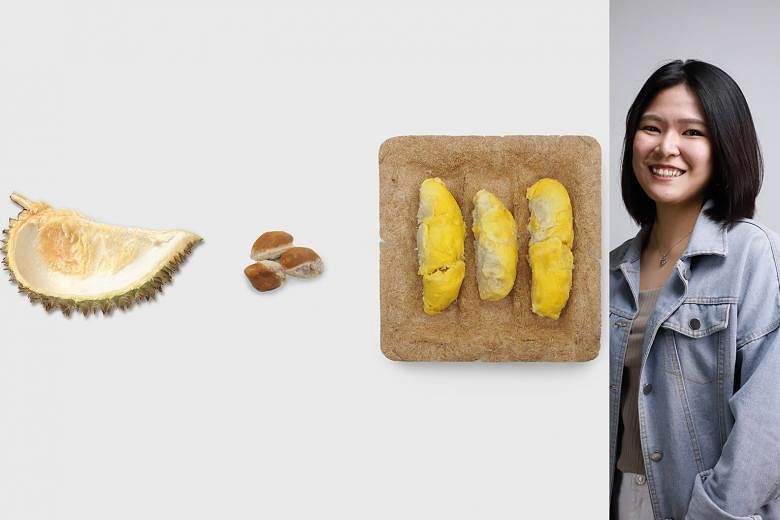 The For Durian, By Durian packaging (left) is made from durian fibre and starch extracted from the fruit’s rinds and seeds. Designed by Ms Seah Li Ping (right), it has spaces to protect the fruit’s pulp as well as an interlocking system to hold everything