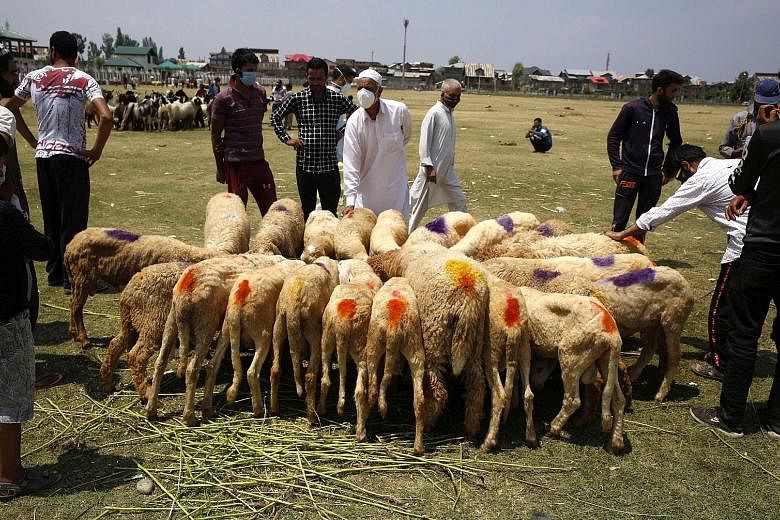 People looking at sheep for sale yesterday, ahead of the Muslim festival of Eid al-Adha on Friday, at a makeshift market in Srinagar, the summer capital of Indian Kashmir. Owing to a Covid-19 lockdown, few people ventured out to buy sacrificial anima