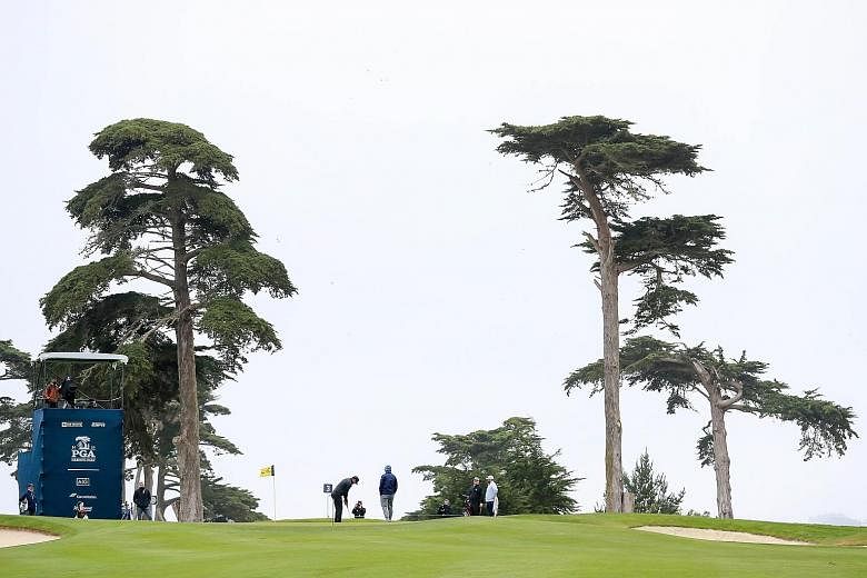 Brooks Koepka putts on the third green during a practice round ahead of the PGA Championship at TPC Harding Park. The American calls it a "big boy course" with its tight fairways lined by majestic cypress trees.