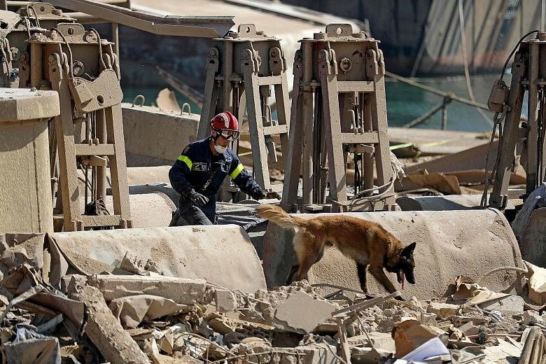 A French rescue worker and his sniffer dog searching for survivors at Beirut's devastated port yesterday, three days after a massive explosion shook the Lebanese capital - killing 154 people and injuring more than 5,000. PHOTO: AGENCE FRANCE-PRESSE