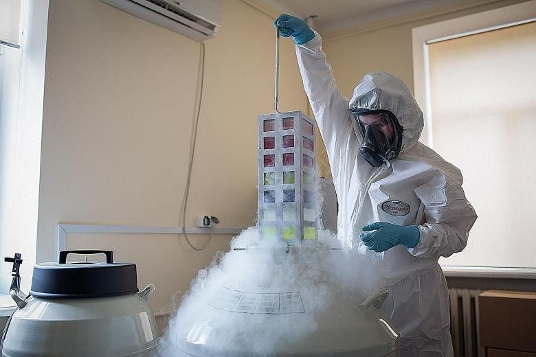 A lab technician removing a vaccine bank from cryostorage during development of a drug at the Gamaleya National Research Centre in Moscow on Thursday.