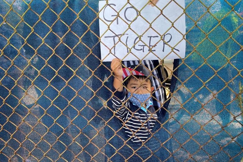 Tiger Woods supporters, like this young fan, peer through fences and climb ladders outside TPC Harding Park to cheer him on at the PGA Championship.