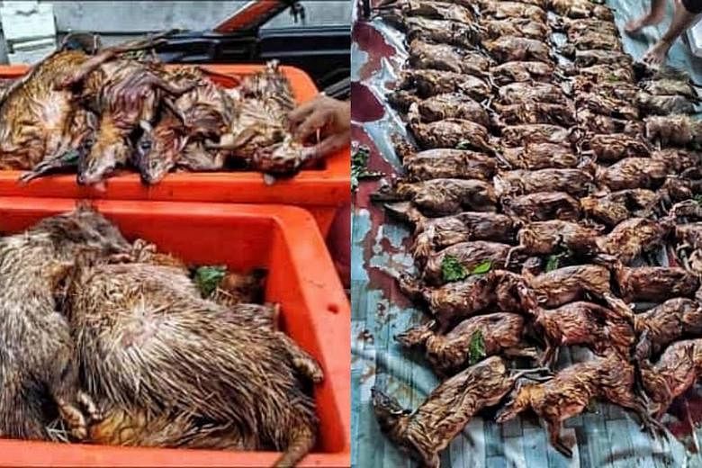 Johor Sultan tells restaurants to stop serving exotic meat | The Straits  Times