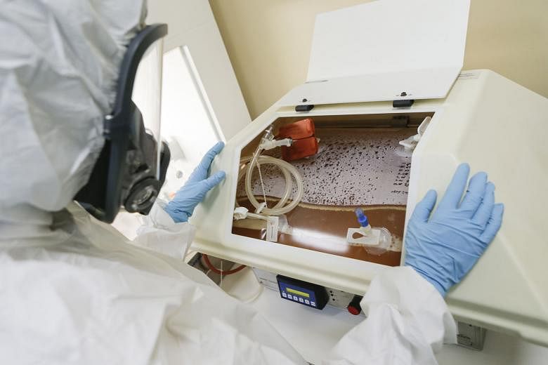 A scientist at the Nikolai Gamaleya National Centre of Epidemiology and Microbiology in Moscow working on the production of a Covid-19 vaccine on Aug 6, in a handout photo released by the Russian Direct Investment Fund yesterday. The phase three clin