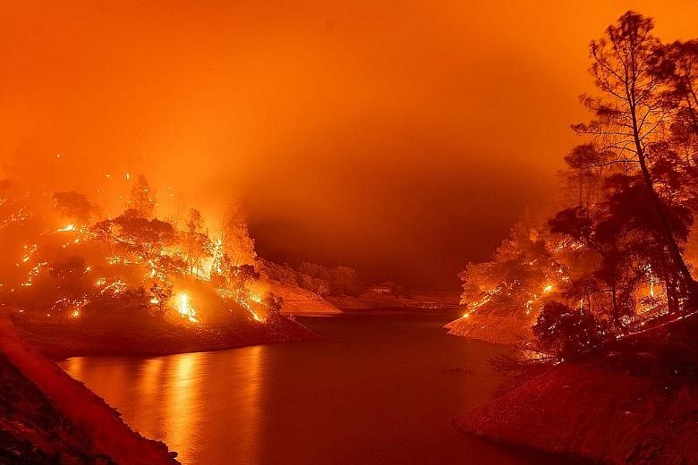 Raging flames consuming both sides of a segment of Lake Berryessa during the Hennessey fire in the Spanish Flat area of Napa, California on Tuesday. Dozens of fires are burning out of control across California as fire-fighting resources are spread th