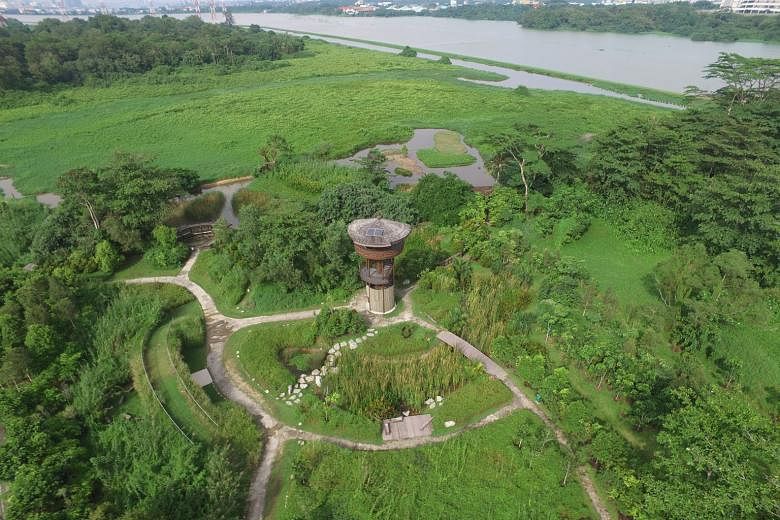 The Kranji Marshes (left) will be part of the new Sungei Buloh Nature Park Network. The new nature zone will be more than three times the size of the Sungei Buloh Wetland Reserve, and comprise wetlands, marshes, nature parks and eco-corridors. PHOTO: