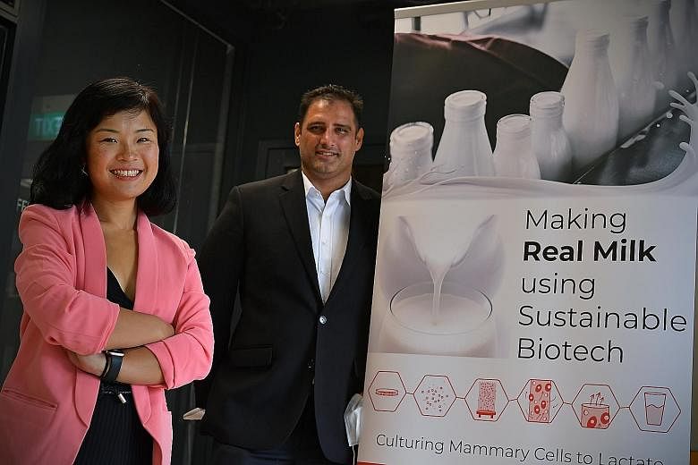 Chief executive Fengru Lin and chief strategist Max Rye of TurtleTree Labs, a start-up focusing on developing cell-based milk. It has been working on optimising a 5-litre production facility and intends to have a pilot plant in Singapore by the middl