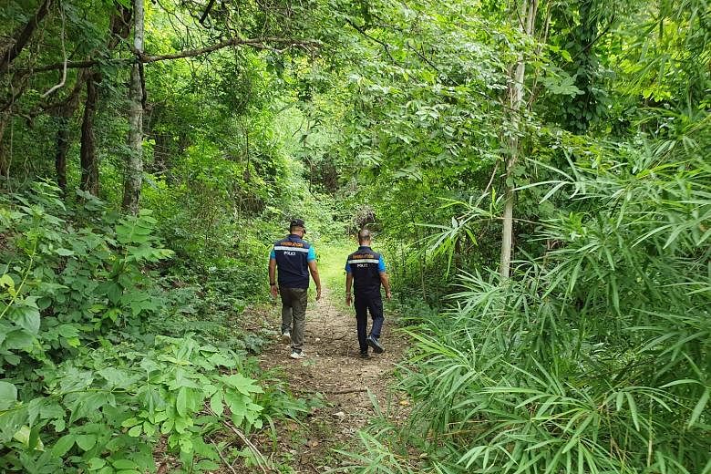 Thai immigration police officers inspecting a route in Kanchanaburi used to smuggle people into the country earlier this month. In June and last month, 172 illegal entrants were nabbed in the Thai province alone - already three-quarters of the figure