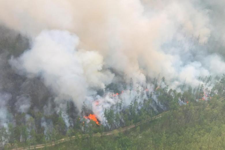 Arctic fires released record amount of CO2 in first half of 2020 | The Straits Times