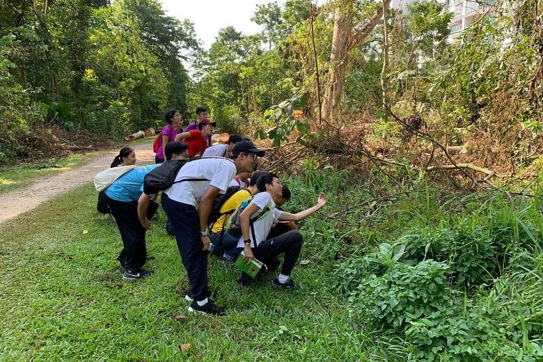 More opportunities for youth to participate in biodiversity ...