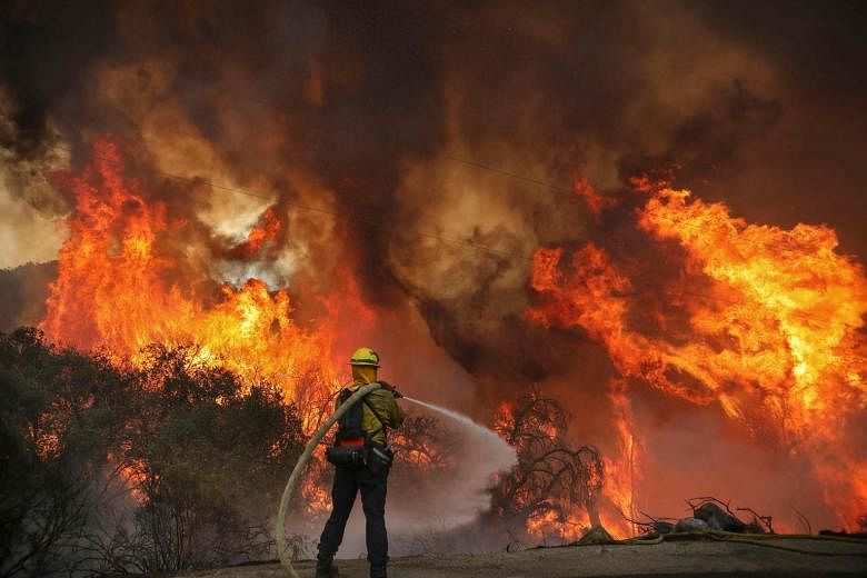 A firefighter battling a blaze raging along Japatul Road during the Valley Fire in Jamul, California, on Sunday. A part of the blaze along Japatul Road during the Valley Fire in Jamul, California, on Sunday. The Valley Fire has so far spread to 4,000
