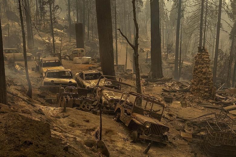 A community of forest homes lies in ruins in the Meadow Lakes area after the Creek Fire swept through on Tuesday near Shaver Lake, in Fresno County, California. The blaze, which started last Friday, was fuelled in part by trees weakened by drought, t