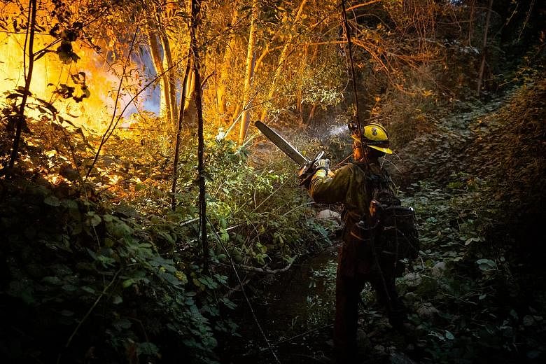  A National Guardsman cutting a fire line as he fought the West Zone Fire in California last Thursday.
