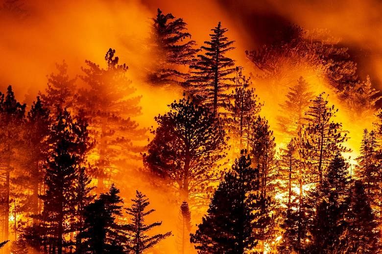 Fire raging in the woods of Angeles National Forest in Los Angeles, California, on Friday. The Pacific North-West in the US as a whole has borne the brunt of an incendiary onslaught that began last Monday. From left: A National Guardsman cutting a fi