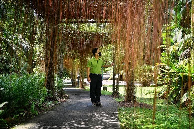 Minister for National Development Desmond Lee at the Botanic Gardens last Wednesday. The new City in Nature concept includes a more aggressive push to protect green spaces and change the way parks are designed, so they look more natural and less mani