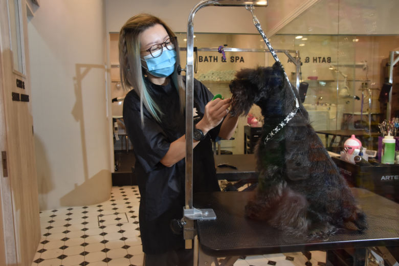 Pet Lovers Centre speeds up initiative to go digital, reshape retail