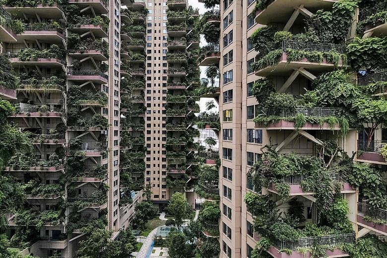 Plants overrun housing project in Chengdu, turning 'eco-paradise' into ...