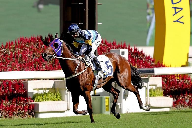 Champion jockey Zac Purton steering Mr Aldan to an easy three-length victory in his last race on July 12. The combination looks hard to topple again in tomorrow's Race 4 at Sha Tin.
