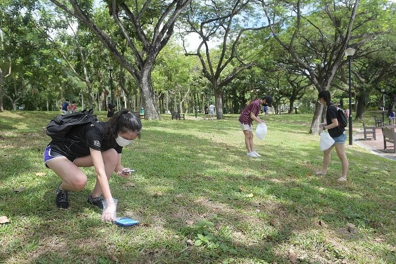 (From left) Students Sabrina Lee, Samuel Tay and Tay Ming Yi, all aged 22, picking and photographing litter at Punggol Park yesterday, as part of a campaign that encourages participants to document litter on Litterati, an app that tracks the progress