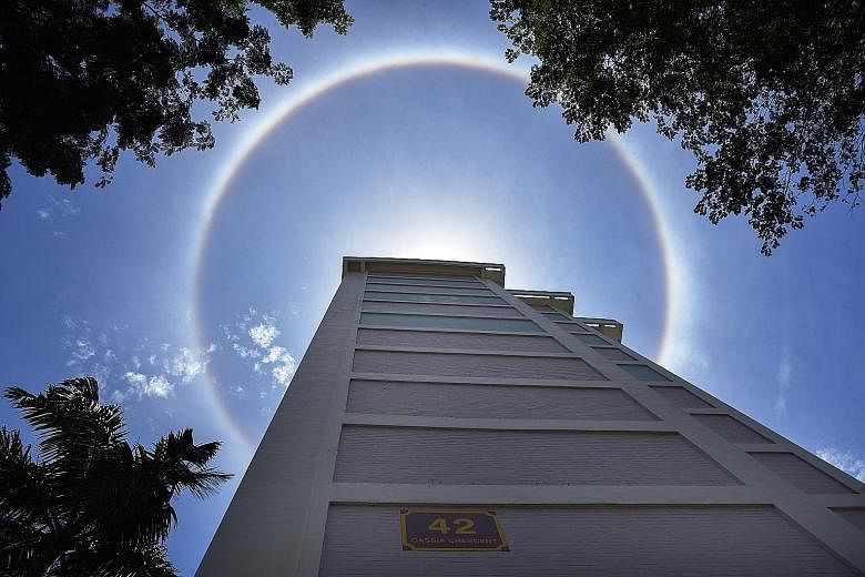 A sun halo seen from a Housing Board block near Guillemard Road at about 12.15pm yesterday. The weather phenomenon occurs when thin clouds are so high in the sky that the water in them consists of ice crystals rather than droplets. These crystals act