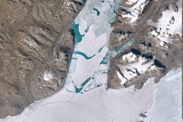 A segment of the largest ice shelf in the Arctic breaking off from June 29 to July 24. A new study says a rise in the earth's average surface temperature by another 1 deg C will lock in 2.5m of sea level rise from Antarctica alone.
