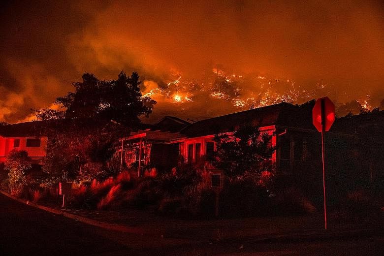 The Shady Fire closing in on homes in California's Santa Rosa yesterday as the Glass Fire forced evacuations in nearby Napa Valley.