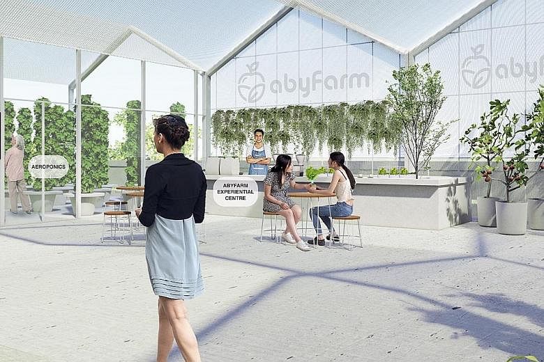 An artist's impression of AbyFarm, one of six successful tenderers for the HDB carpark rooftop spaces. AbyFarm hopes to begin construction on its site in Ang Mo Kio in the next few months, and have its launch date within the first half of next year.