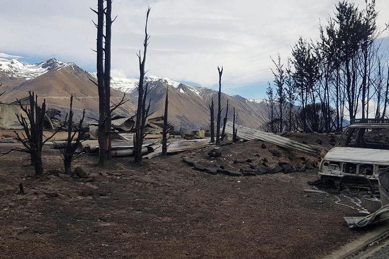 The wildfires which destroyed up to 50 homes began in a mountain forest early on Sunday morning and swept through the village of Lake Ohau, forcing residents to flee. By yesterday afternoon, it had burned 4,600ha of land, leaving behind a village des