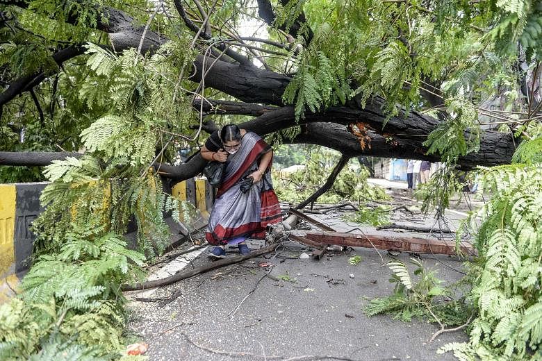 A tree that fell onto a street following heavy rain in the Indian city of Hyderabad yesterday.