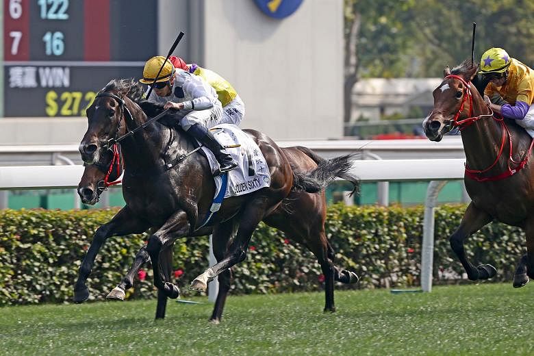 Golden Sixty (right) is capable of clinching his ninth straight win in Race 7 at Sha Tin tomorrow. He was simply brilliant first-up, claiming a number of high-profile scalps.