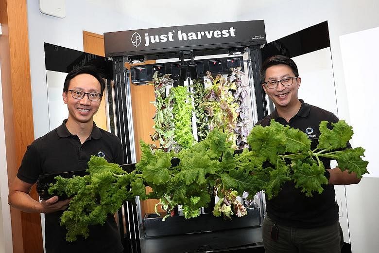 Archisen co-founder and chief executive Vincent Wei (left) and chief technology officer and fellow co-founder Sven Yeo seen here with full-grown veggies from the mini version of its farming system, which will be deployed to restaurants and hotels.